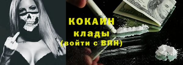 прущие грибы Вязники