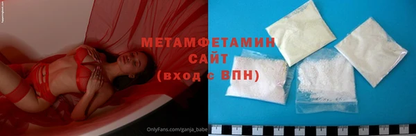 прущие грибы Вязники