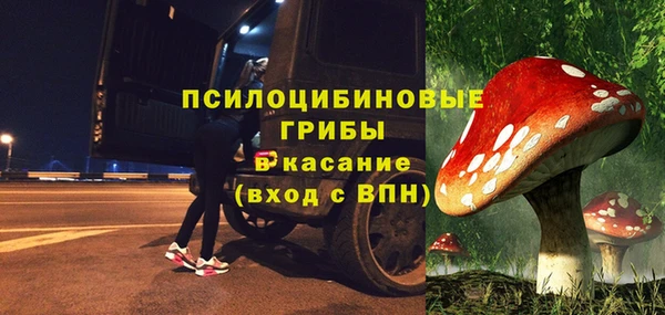 прущие грибы Вязники