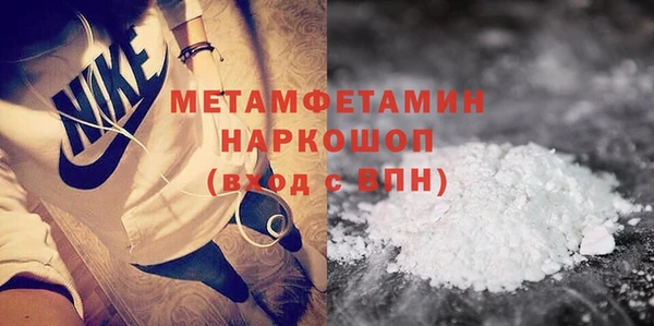 прущие грибы Вязники