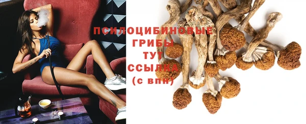 COCAINE Горно-Алтайск