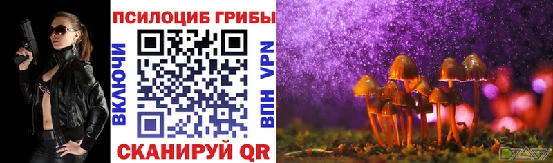 Псилоцибиновые грибы Cubensis Красноуральск